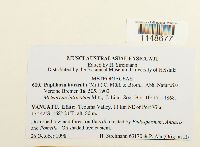 Image Associated With the Occurrence