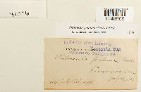 Image Associated With the Occurrence