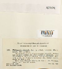 Media resource of Philonotis alpicola