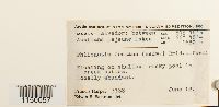 thumbnail image of current specimen