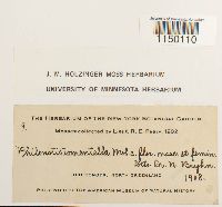 Image Associated With the Occurrence