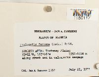 Image Associated With the Occurrence