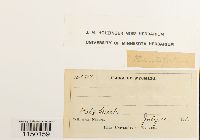 Image Associated With the Occurrence