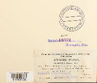 Philonotis marchica image