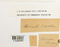 Image Associated With the Occurrence