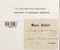 Image Associated With the Occurrence