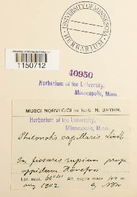 Image Associated With the Occurrence