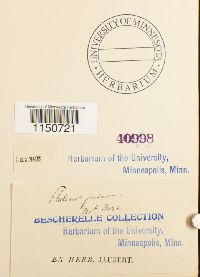 Image Associated With the Occurrence