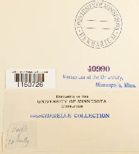 Image Associated With the Occurrence