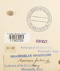 Image Associated With the Occurrence