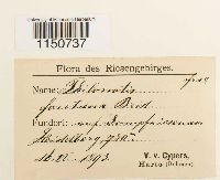 thumbnail image of current specimen