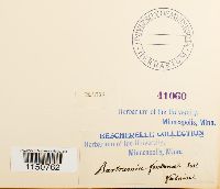 Philonotis fontana image