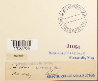 Philonotis fontana image