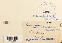 Image Associated With the Occurrence