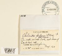 Image Associated With the Occurrence