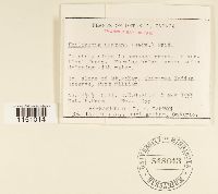 Image Associated With the Occurrence