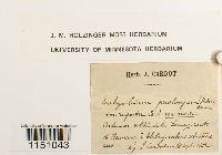 Image Associated With the Occurrence