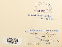 Image Associated With the Occurrence