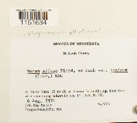 Image Associated With the Occurrence