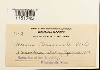 thumbnail image of current specimen