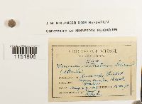 thumbnail image of current specimen