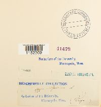 Image Associated With the Occurrence