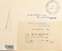 thumbnail image of current specimen