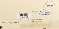 thumbnail image of current specimen