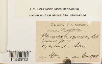 thumbnail image of current specimen