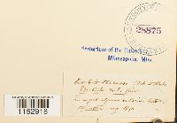 Thumbnail image of current specimen