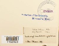 Thumbnail image of current specimen