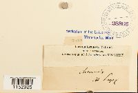 thumbnail image of current specimen