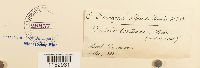 thumbnail image of current specimen
