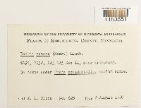 Image Associated With the Occurrence