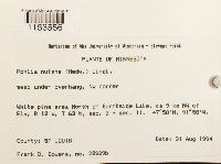 Image Associated With the Occurrence