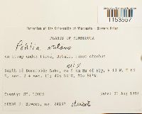 Image Associated With the Occurrence