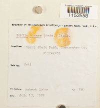 Image Associated With the Occurrence