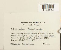 Image Associated With the Occurrence