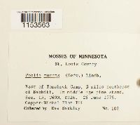 Image Associated With the Occurrence