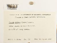 Image Associated With the Occurrence