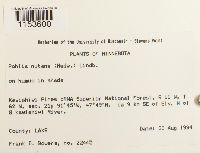 Image Associated With the Occurrence