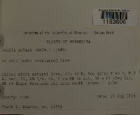 Image Associated With the Occurrence