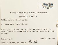 Image Associated With the Occurrence