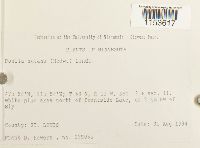 Image Associated With the Occurrence