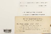 Image Associated With the Occurrence