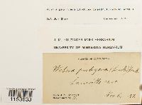 Image Associated With the Occurrence