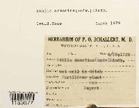 thumbnail image of current specimen