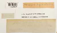 Thumbnail image of current specimen