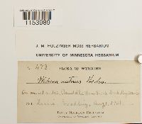 Image Associated With the Occurrence