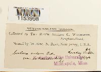 Image Associated With the Occurrence